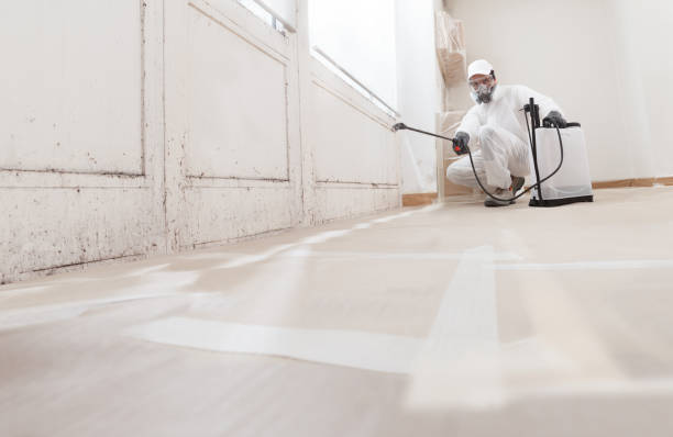 24/7 Emergency Mold Removal experts in Drewryville, VA